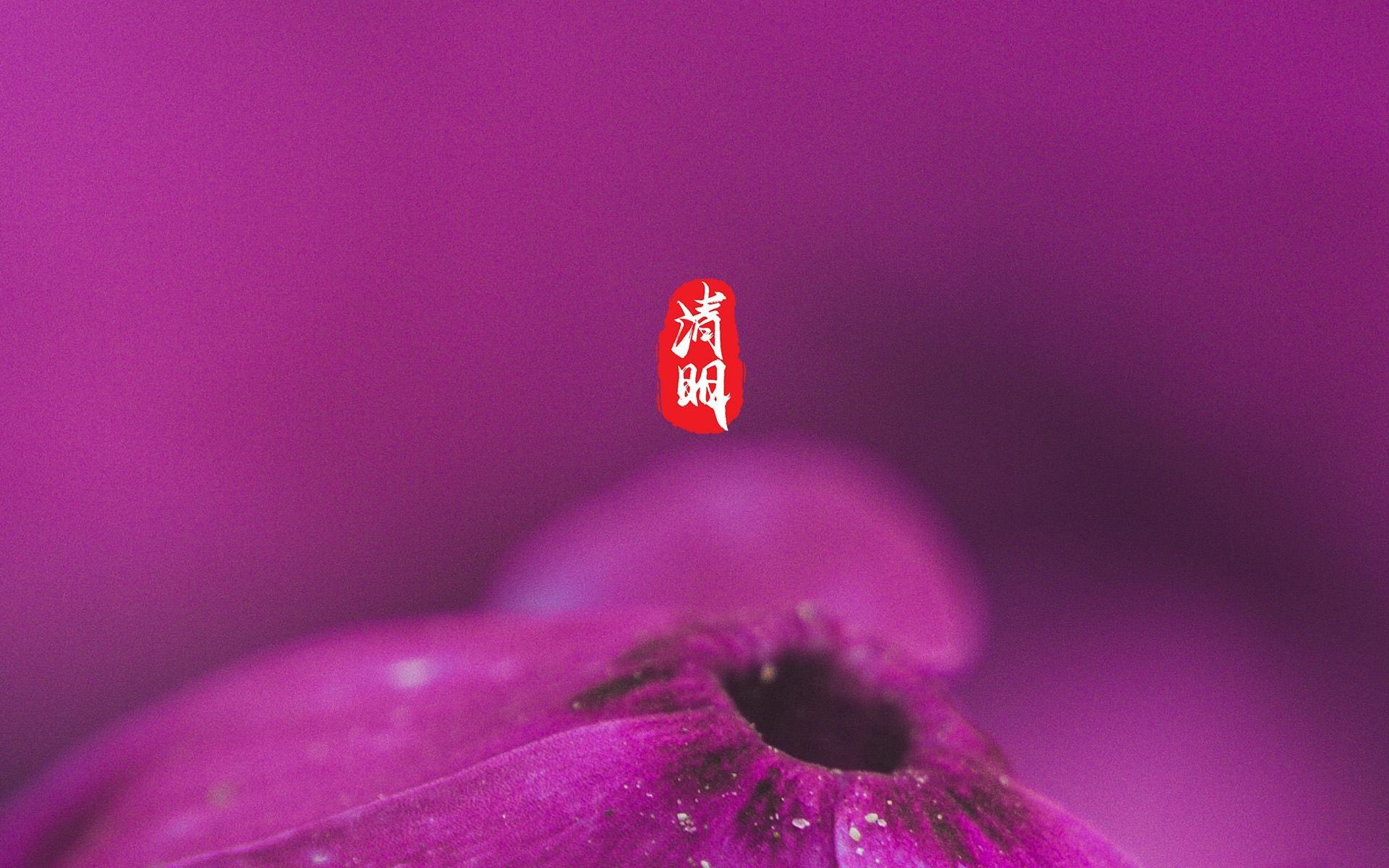 清明节唯美花卉桌面壁纸图片
