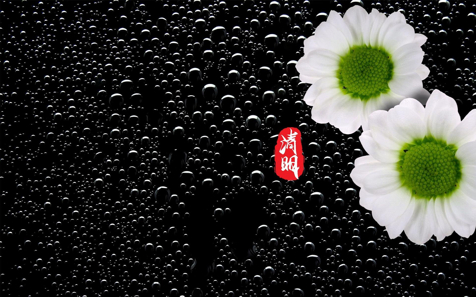 清明节唯美花卉桌面壁纸图片