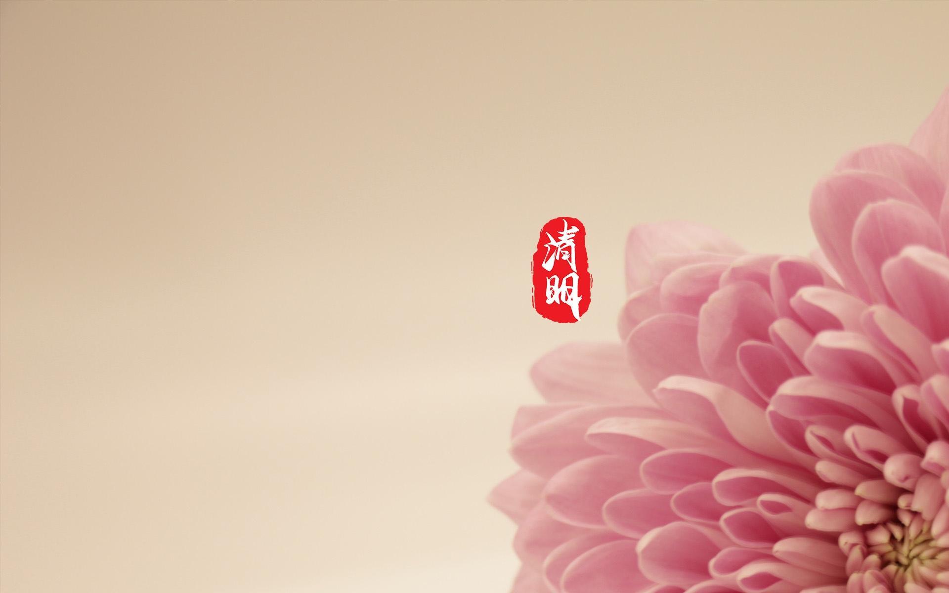 清明节唯美花卉桌面壁纸图片