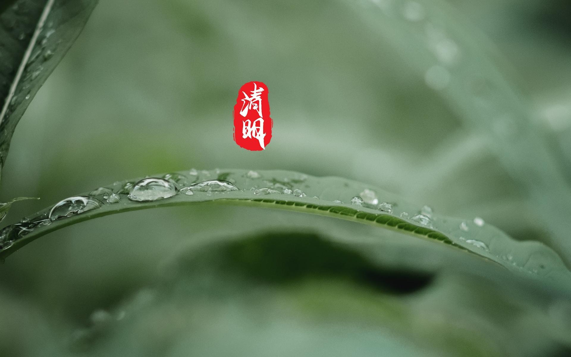 清明主题唯美高清桌面壁纸图片