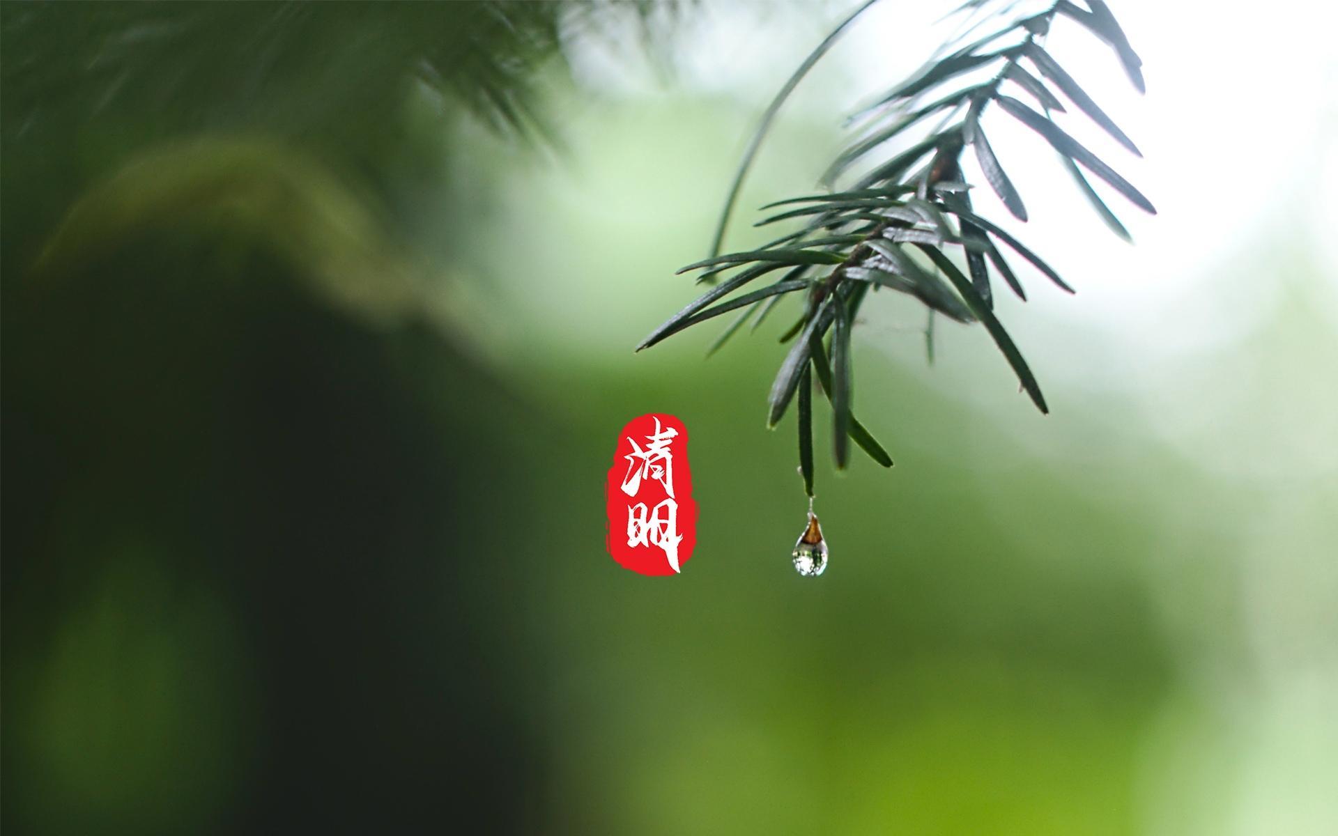 清明主题唯美高清桌面壁纸图片