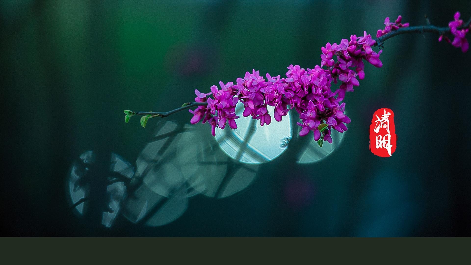 清明节唯美图文高清桌面壁纸图片