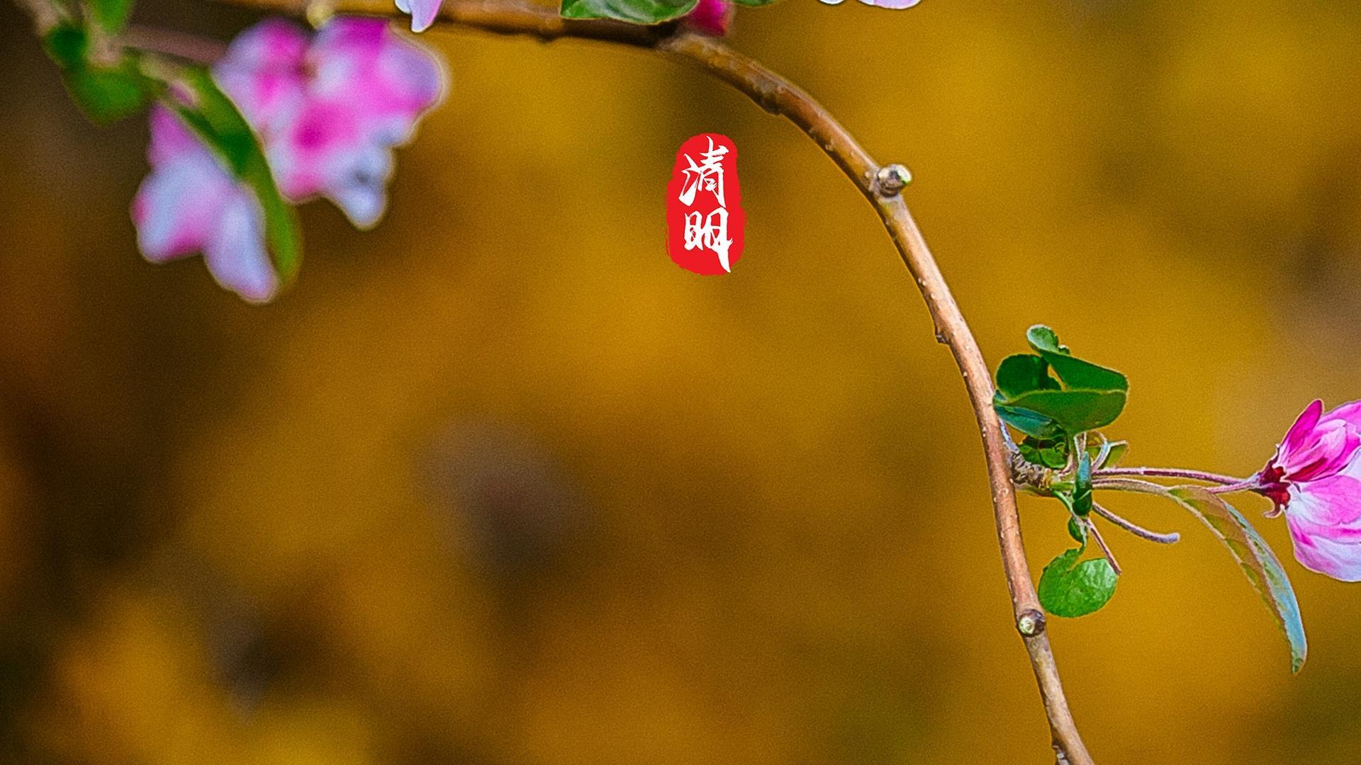 清明节唯美图文高清桌面壁纸图片