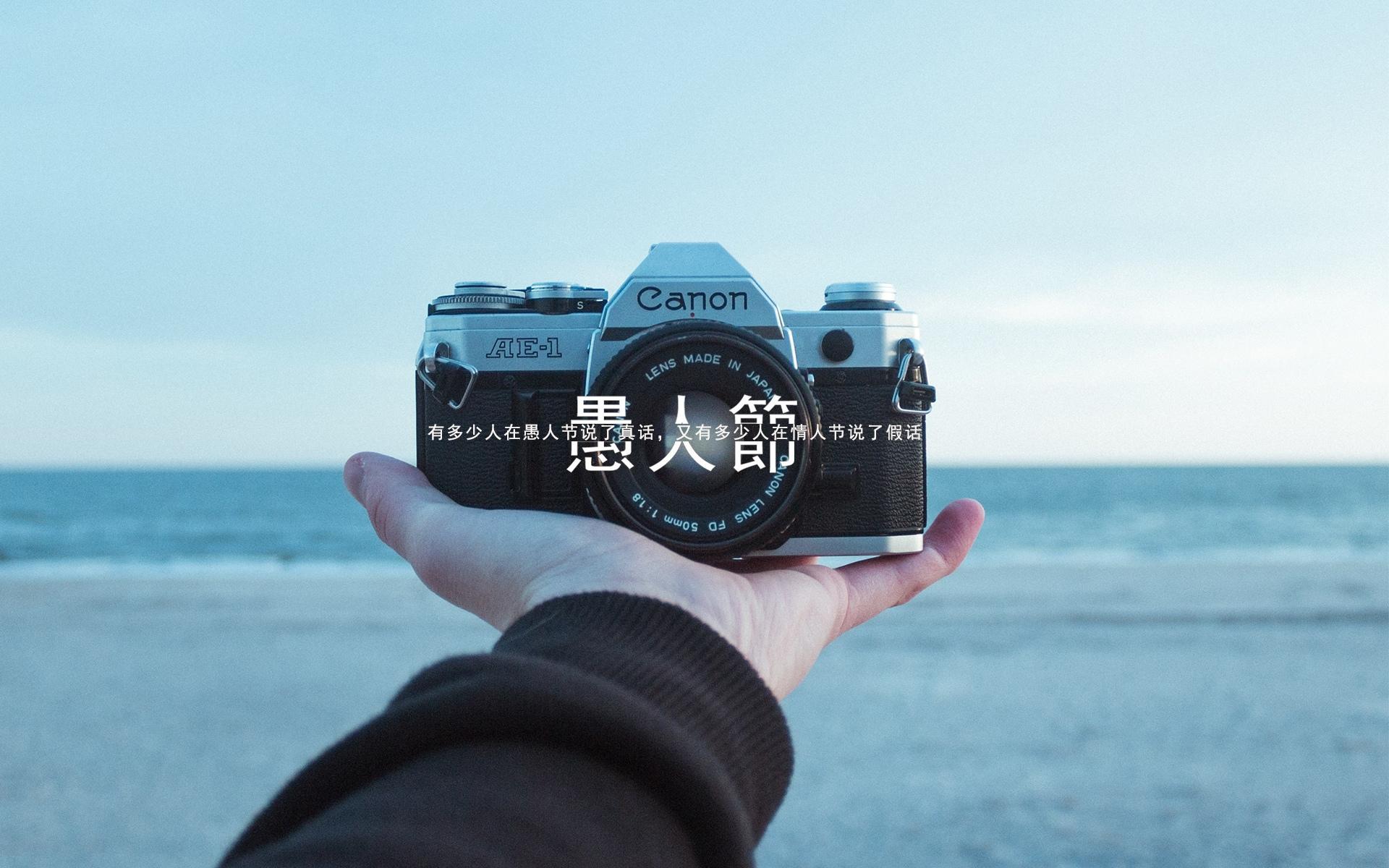 愚人节简约伤感文字高清桌面壁纸图片