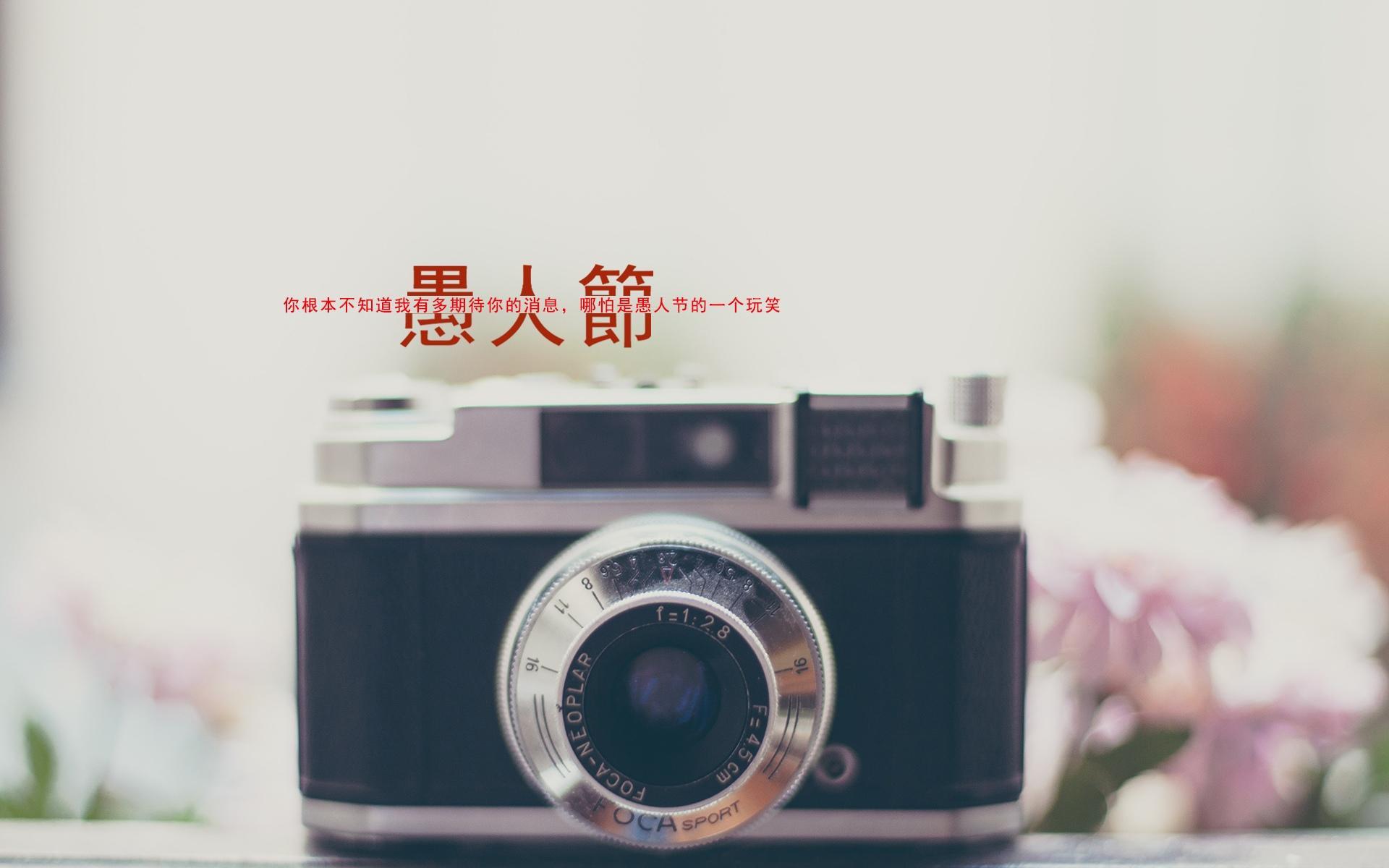 愚人节简约伤感文字高清桌面壁纸图片