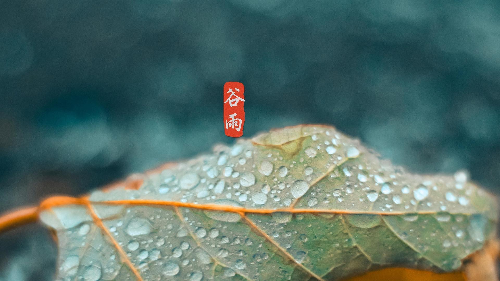 二十四节气谷雨高清桌面壁纸图片