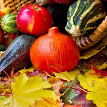 感恩节带字唯美图片