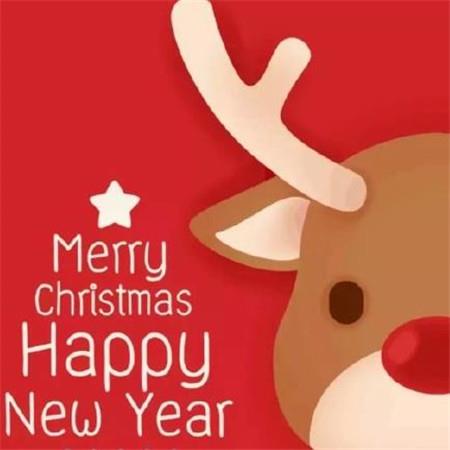 漂亮的圣诞节图片高清