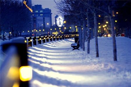 冬至图片唯美高清