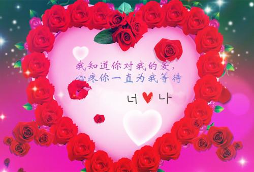 唯美玫瑰花带字祝福图片