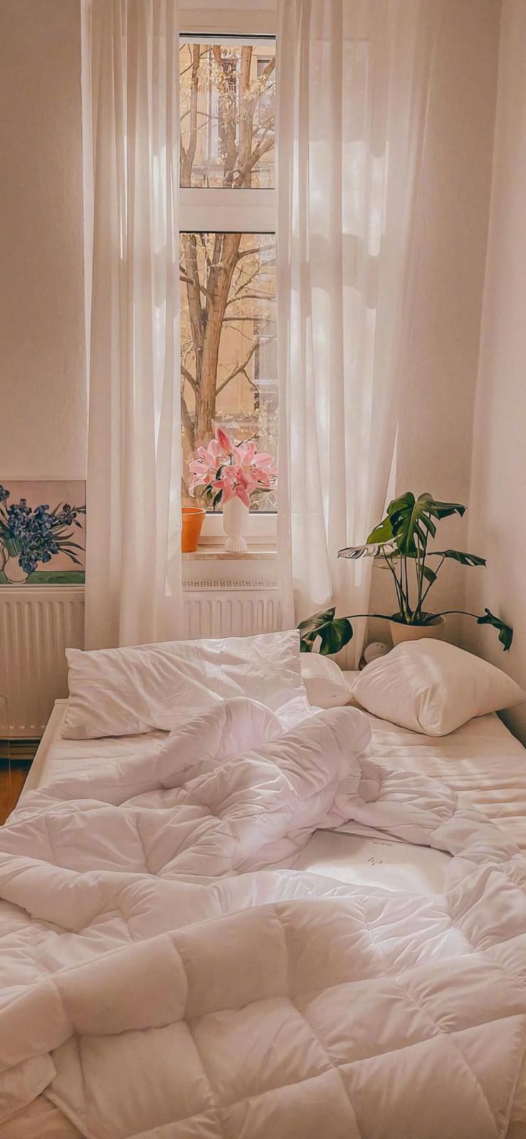 十二月温馨生活精选手机壁纸图片