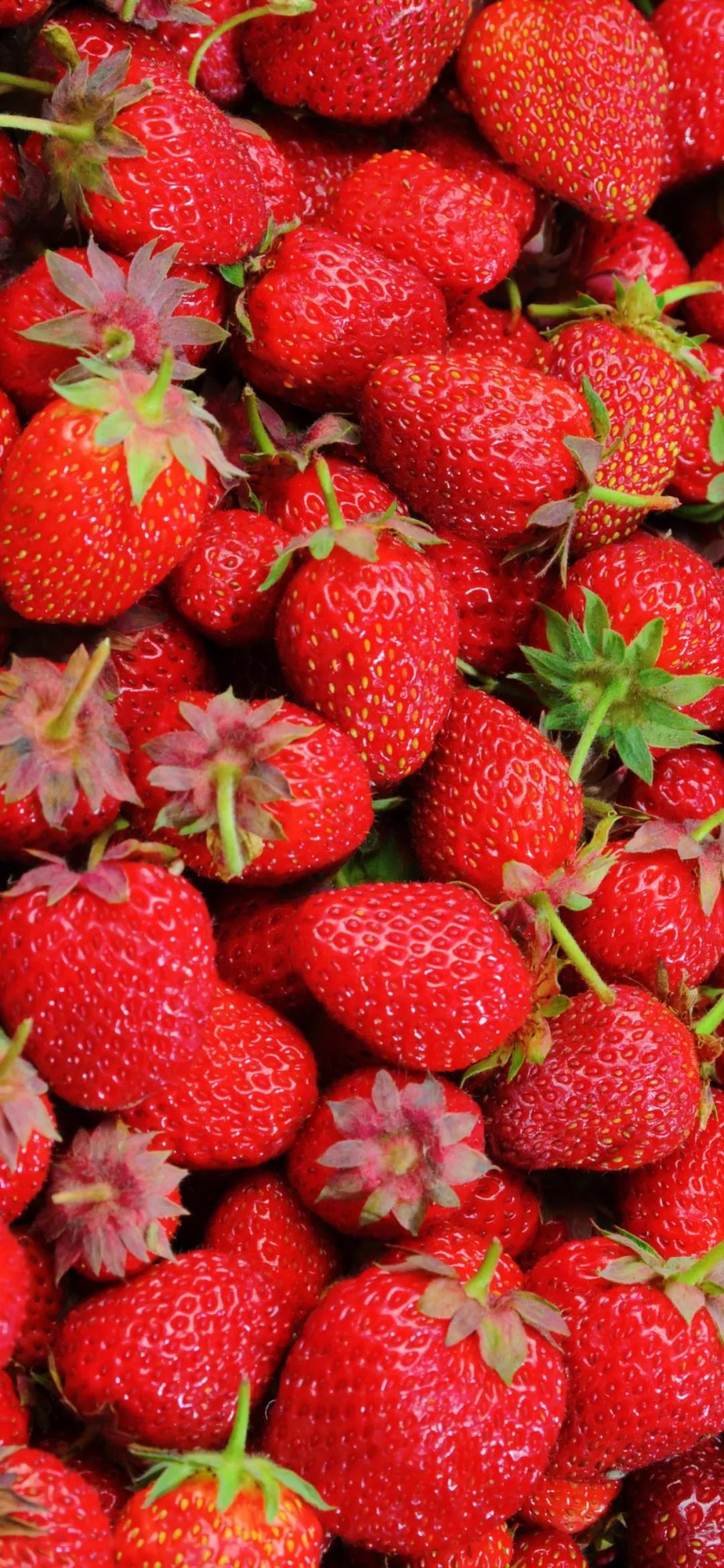 红彤彤的水果图片|草莓高清手机竖屏壁纸