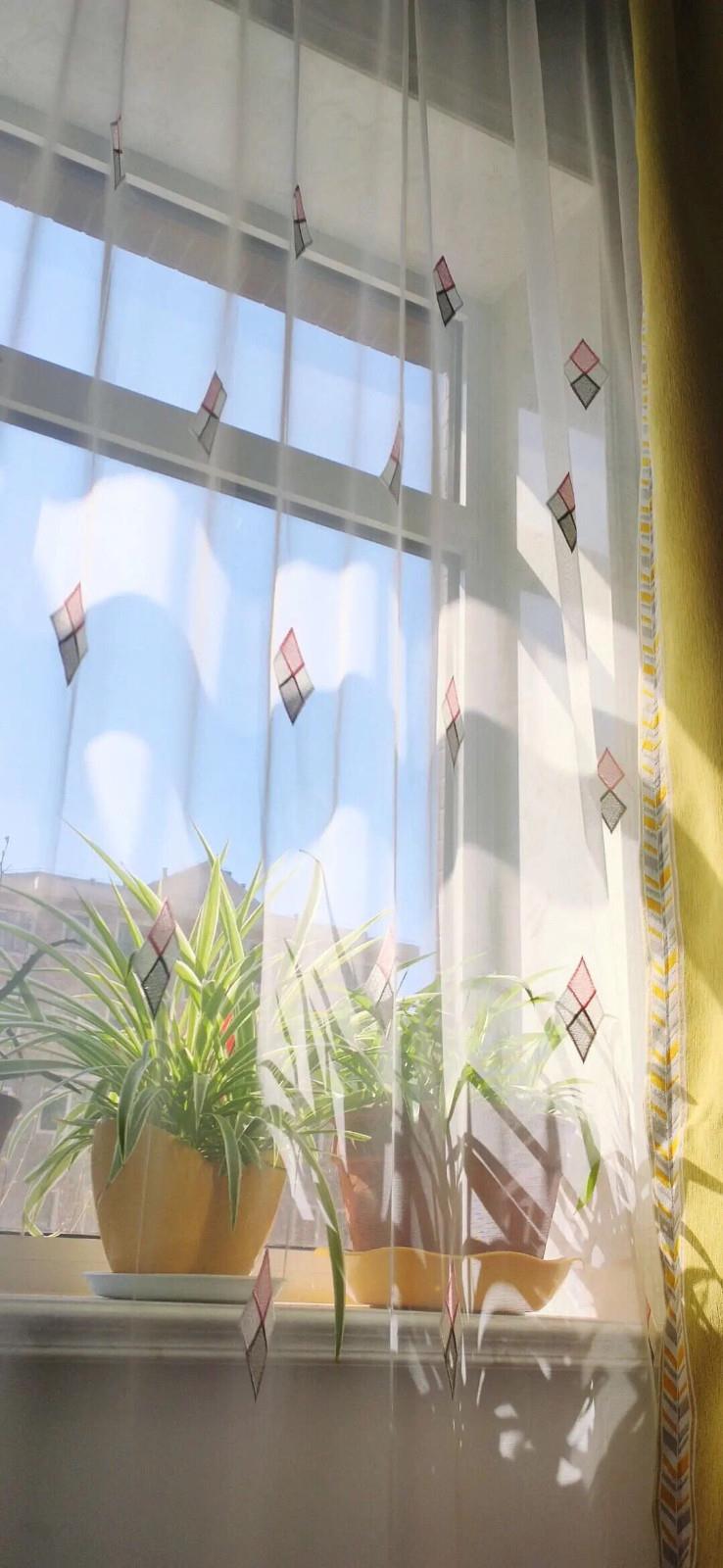 美好生活记录图片手机壁纸|给生活送一束花的仪式感