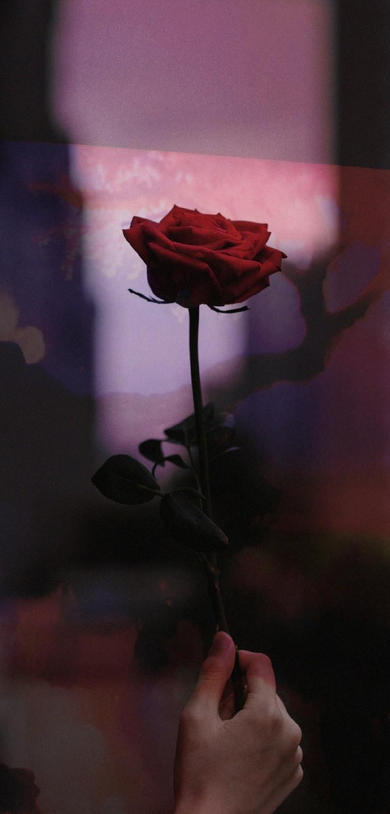 超好看的背景图片壁纸|收集生活中的治愈风景