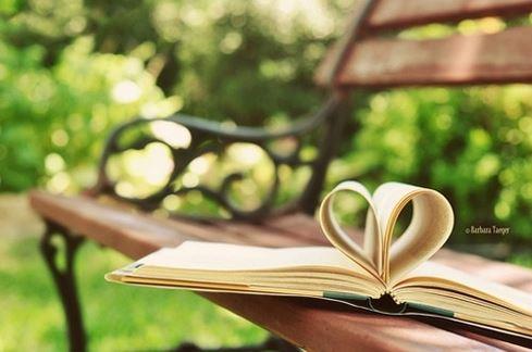 生活中清新治愈的绿色植物图片