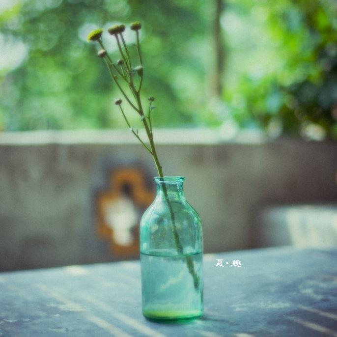 透明瓶子里插着几多小花-生活中的意境图片
