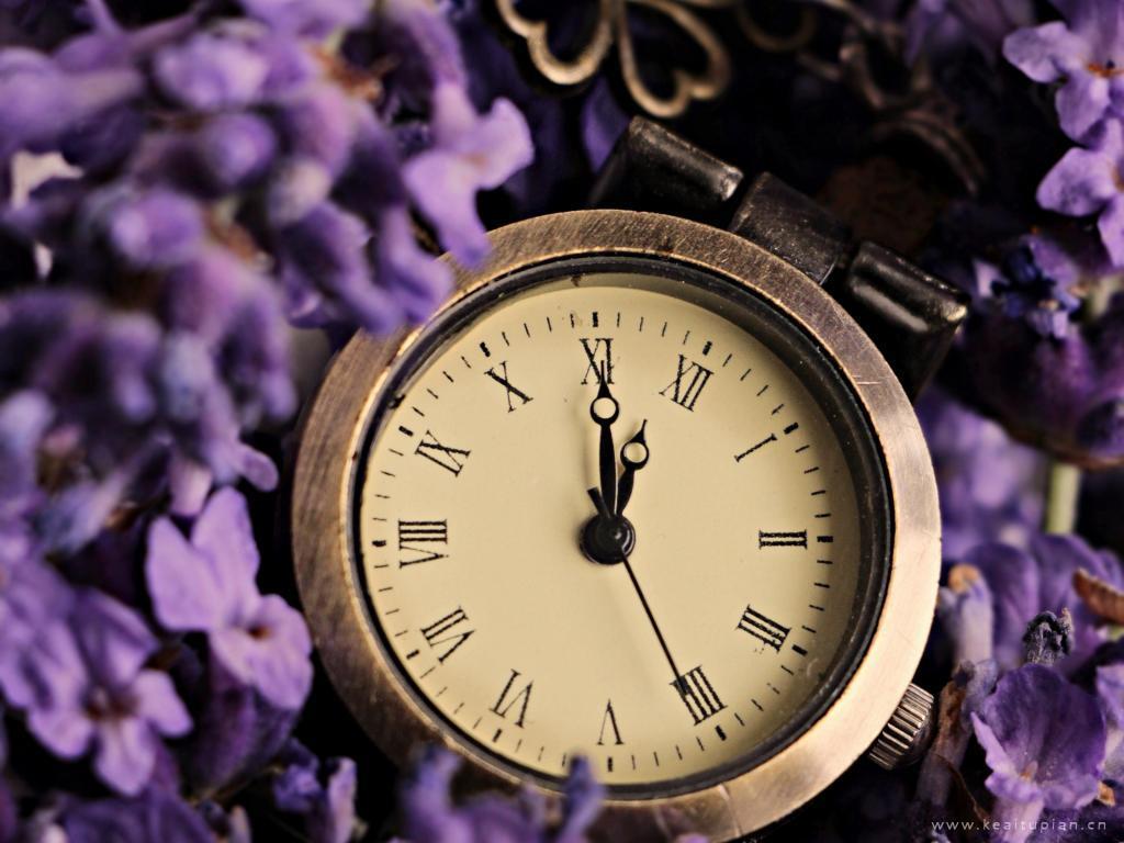 与时间有关的物品-的复古钟表图片