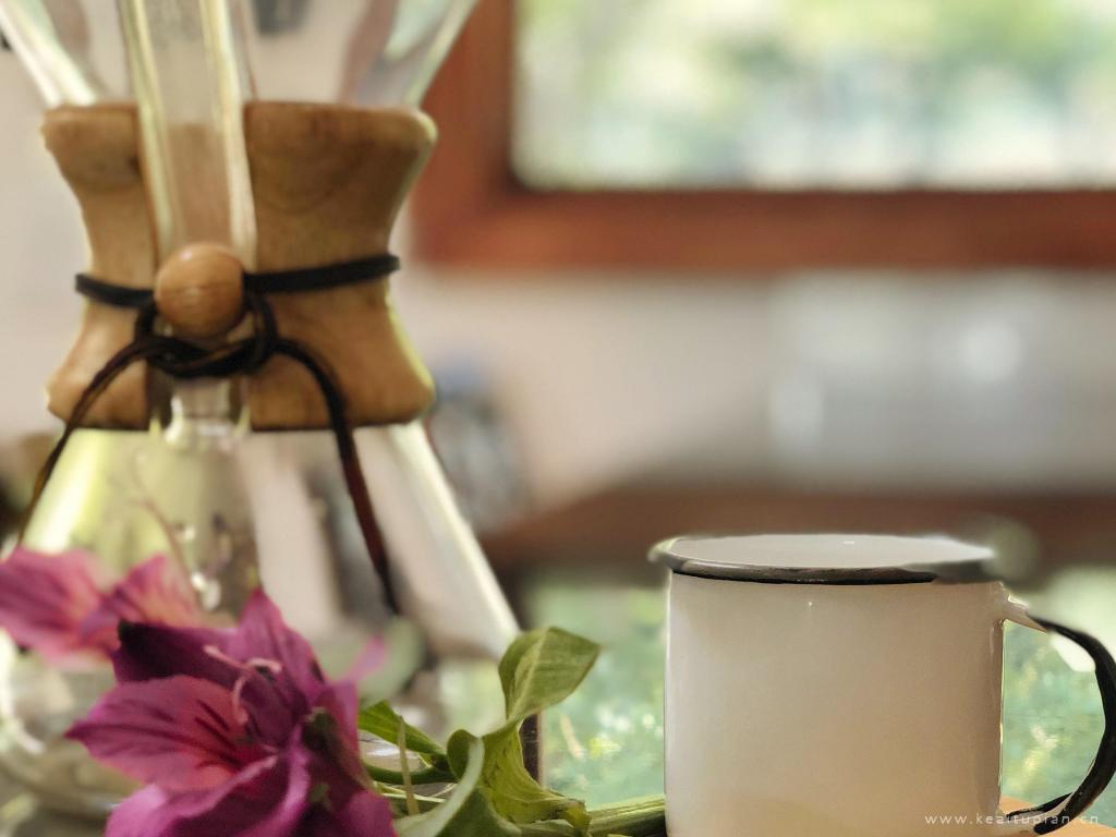 书籍、杯子盆栽等窗台物品日常生活图片