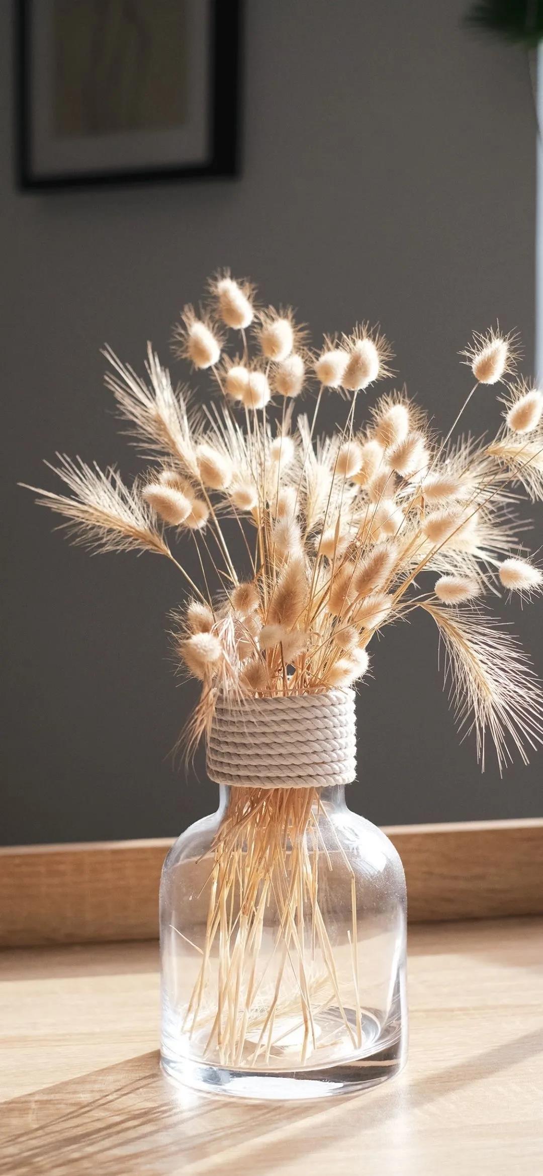 生活中的小确幸高清小物件清新手机壁纸图片