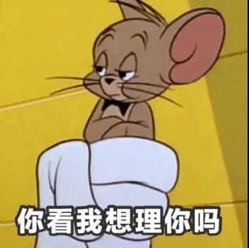 《猫和老鼠》汤姆杰瑞日常是用表情包图片