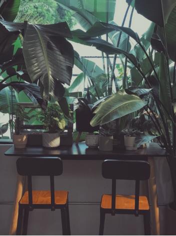 唯美浪漫风格小院精致生活植物图片大全