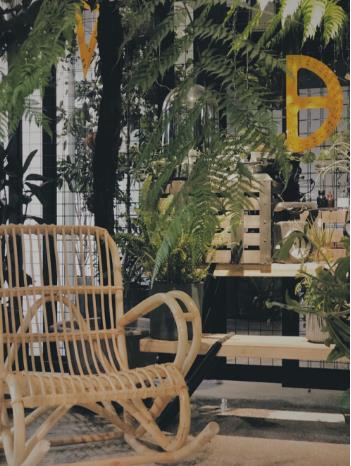 唯美浪漫风格小院精致生活植物图片大全