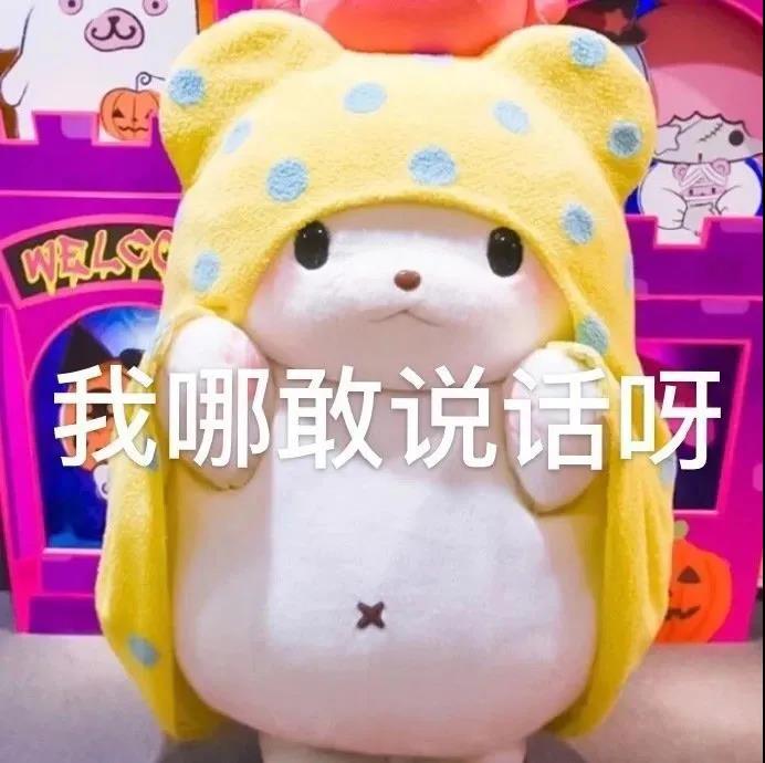 非常好用的可爱日常表情包图片