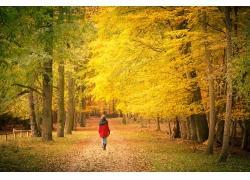 秋天情侣背影图片唯美 冬天情侣背影图片唯美