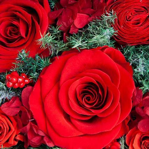 玫瑰情侣图片 玫瑰花唯美图片