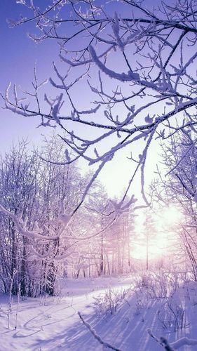 情侣雪景图片唯美图片 浪漫雪景情侣图片高清