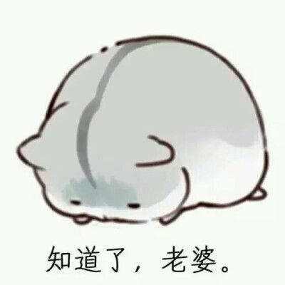 情侣斗图专用 微信情侣斗图大全集