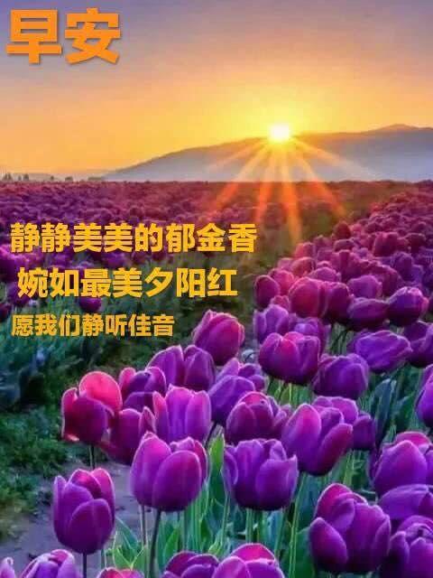 情侣早安问候语图片 情侣间早安亲密问候图片大全