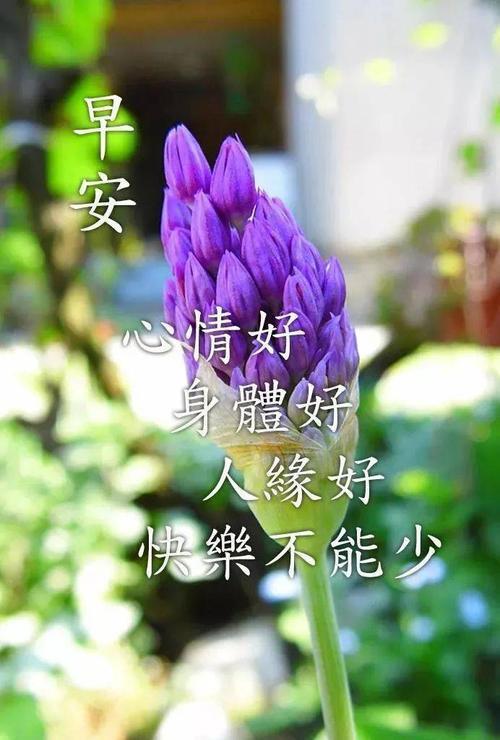 情侣早安问候语图片 情侣间早安亲密问候图片大全