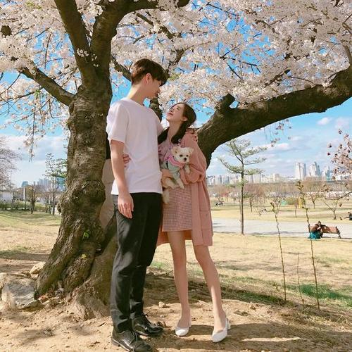 情侣照图片大全 情侣浪漫照片大全