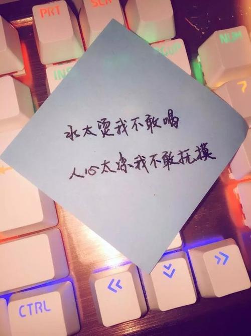 适合情侣的文字图片 情侣图片配文字说说