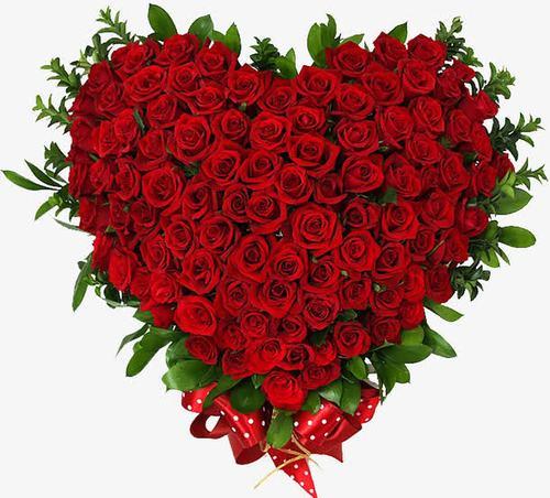 情侣玫瑰花爱心图片 玫瑰花的图片唯美浪漫爱情图片