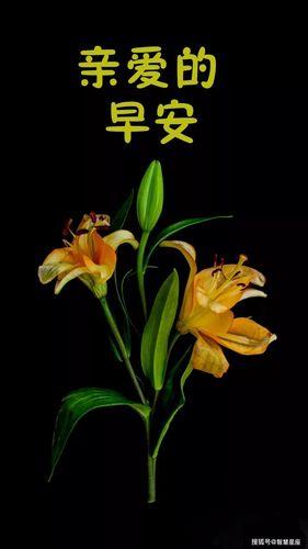 情侣早安问候图片带字 问候情侣早上好带字图片大全