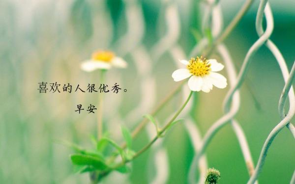 情侣早上问候的情话图片 情侣早上好图片问候语
