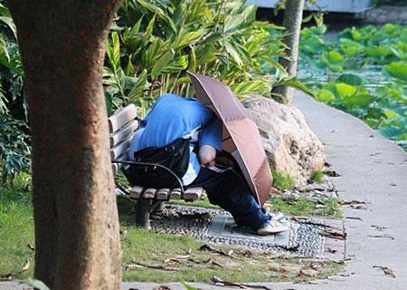 情侣公园图片 情侣图片风景