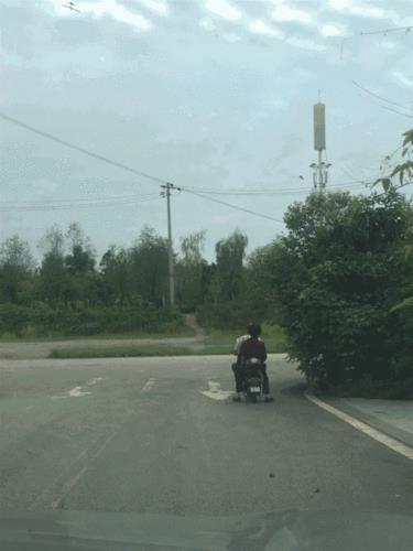 情侣野战动态图片