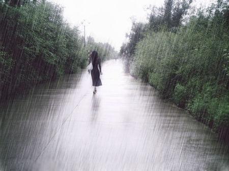 情侣雨中漫步背影图片 两个人雨中漫步背影图片