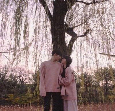 花前月下情侣图片 花前月下的图片