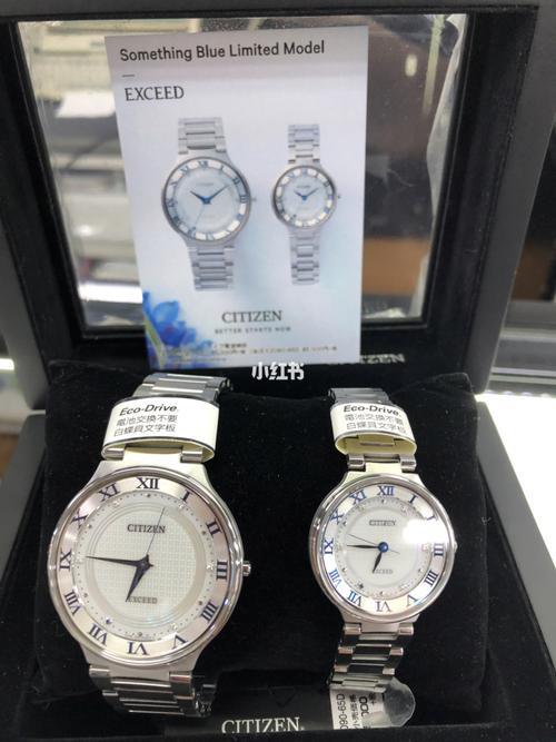 西铁城情侣表图片大全 西铁城经典款男表推荐