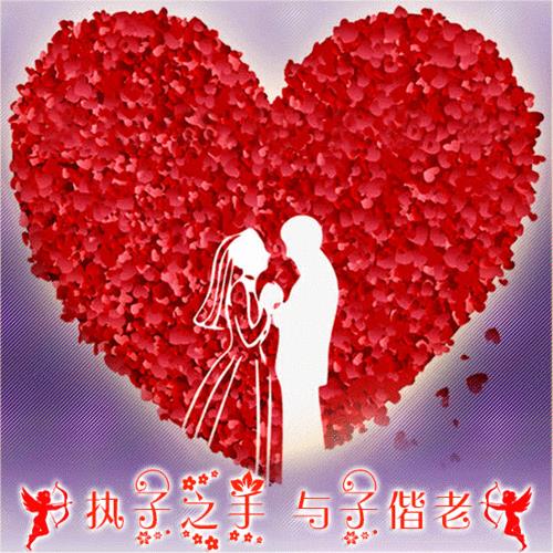 动态情侣图片 情侣的图片