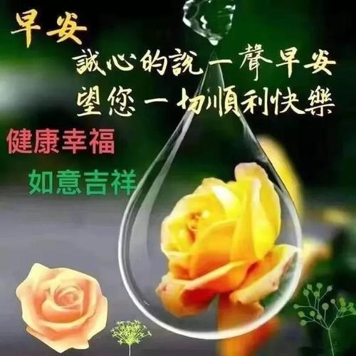 情侣早安问候图片 情侣间早安亲密问候图片大全