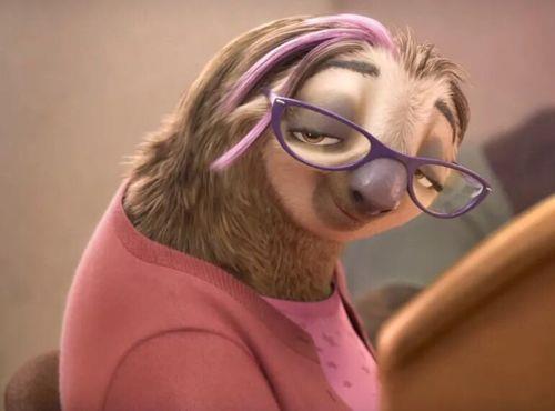 情侣树懒抱图片 树懒式抱抱图片