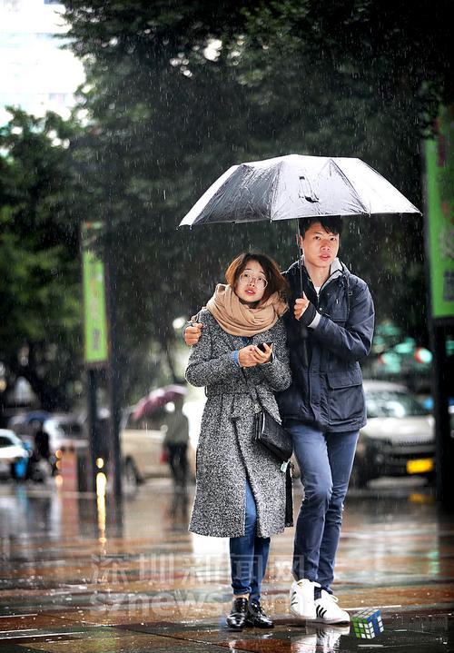 雨中情侣图片唯美 雨中浪漫图片唯美