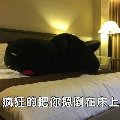 情侣之间斗图 情侣搞笑斗图图片大全