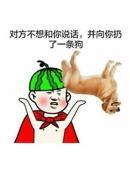 情侣之间斗图 情侣搞笑斗图图片大全