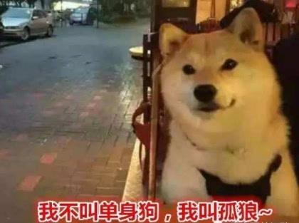 两边情侣中间单身狗图 单身狗周围都是情侣图